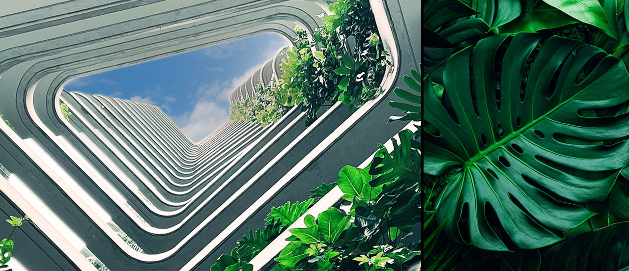 Sustainability Trends